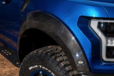 Ford Raptor Spatbordverbreders OE Voor CF 17-21 17+ Raptor Spatbordverbreders OE Vooraan Carbon Anderson