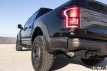 Ford Raptor Zijpaneel Trim Achter Carbon 17-21 17+ Raptor Zijpaneel Trim Achter Carbon