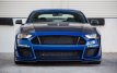 Ford Mustang Hood GT500 Carbon 18+ 18+ Mustang Motorkap GT500-Style Carbon