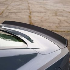 24+ Mustang Spoiler Duckbill