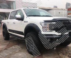 18-20 F-150 Spatbordverbreders BUDGET Bouten