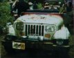 Jurassic Park Jeep Wrangler Sahara #10 Nummerplaat Jurassic Park Jeep Wrangler Sahara #10 Nummerplaat