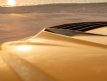 Vörsteiner Lamborghini Urus Rampante Bonnet Lamborghini Urus Motorkap Rampante - VRS - 2018-2023